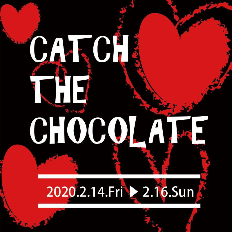 ♥♥♥CATH THE CHOCOLATE♥♥♥